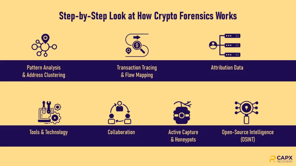 how crypto forensics works step by step process
