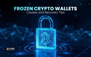 frozen crypto wallets causes and recovery tips